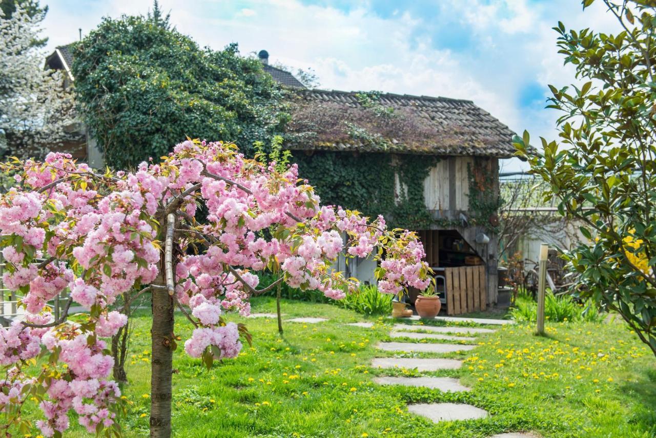 Villa Sonnenschein Терлано Екстериор снимка